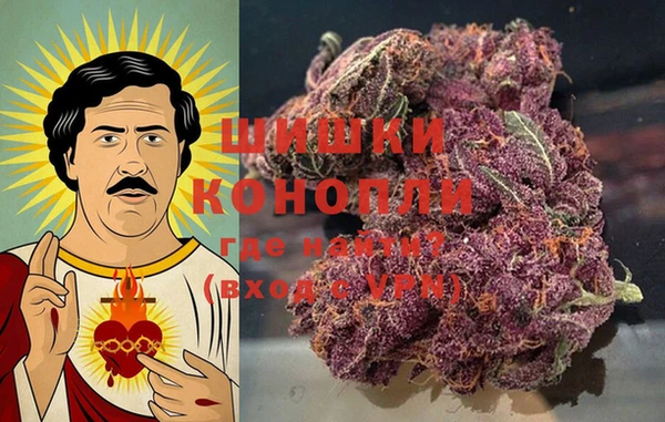 стаф Осташков