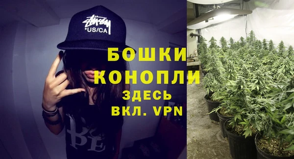 ГАЛЛЮЦИНОГЕННЫЕ ГРИБЫ Алексеевка