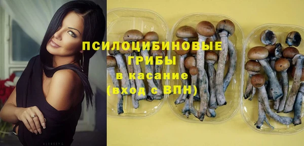 стаф Осташков