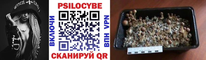 Галлюциногенные грибы Cubensis  Нягань 